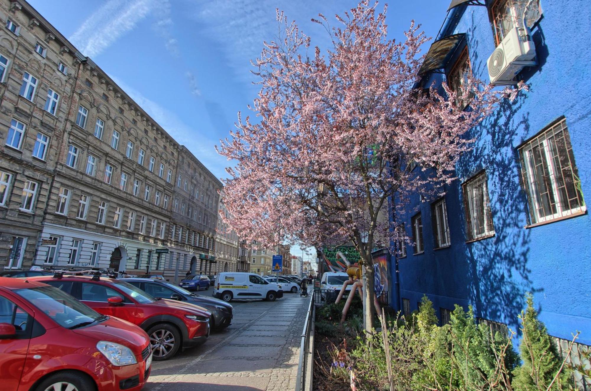 Apartment Jade Szczecin